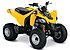 2019 Can-Am DS 250 for sale 200598713